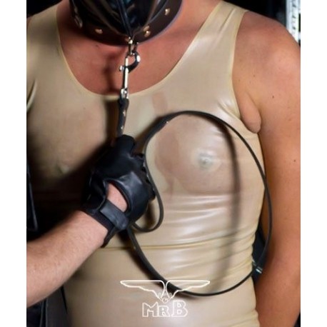 Dogleash leather