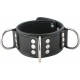 Broad lockable collar S