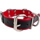 Slave Collar 4 D-Rings