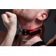 Slave Collar 4 D-Rings