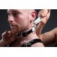 Slave Collar 4 D-Rings collare in pelle