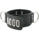 Broad lockable collar S
