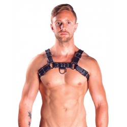 Mister B Chest Harness Black with Grey harness leather pelle