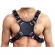 Mister B Walking Harness Black braga da passeggio a guinzaglio