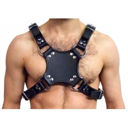 Mister B Walking Harness Black braga da passeggio a guinzaglio