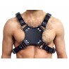 Mister B Walking Harness Black braga da passeggio a guinzaglio