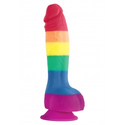 NS Novelties Colours Pride Edition 6 Inch Dildo fallo realistico in silicone arcobaleno