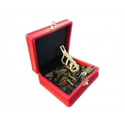 Black Label Brutal Stainless Steel Chastity Cage Gold Platted gabbia di castità pene in acciaio inox