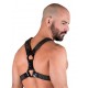 665 Leather NeoFlex Neoprene Harness Black Orange harness in neoprene con clips