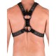 665 Leather NeoFlex Neoprene Harness Black Orange harness in neoprene con clips