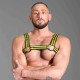 665 Neoprene Bulldog Harness Yellow harness in neoprene con clips