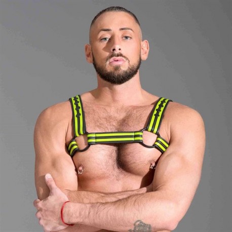 665 Neoprene Bulldog Harness Yellow harness in neoprene con clips