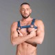 665 Neoprene Bulldog Harness Blue harness in neoprene con clips