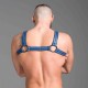 665 Neoprene Bulldog Harness Blue harness in neoprene con clips