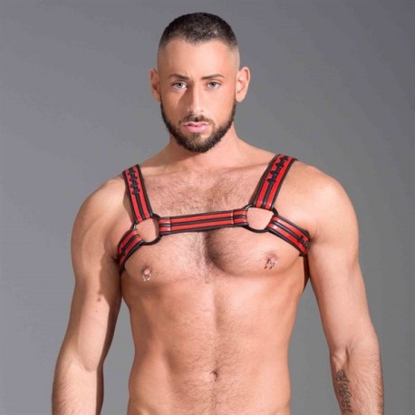 665 Neoprene Bulldog Harness Red harness in neoprene con clips