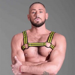 665 Neoprene Bulldog Harness Yellow harness in neoprene con clips