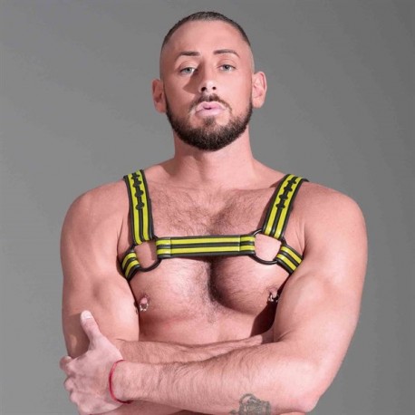 665 Neoprene Bulldog Harness Yellow harness in neoprene con clips