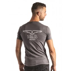 Mister B T-shirt Grey cotone grigio