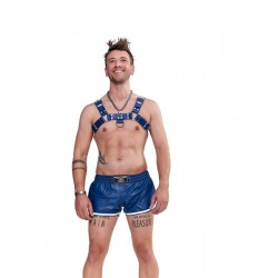 Mister B Leather Chest Harness Saddle Leather Blue in leather pelle