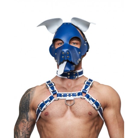 Mister B Leather Circuit Floppy Dog Hood Blue White testa di cane maschera in pelle