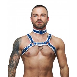 Mister B Leather Circuit Collar Blue-White collare in pelle