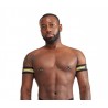Mister B Urban Club Biceps Bands Striped Yellow bande elastiche per bicipidi