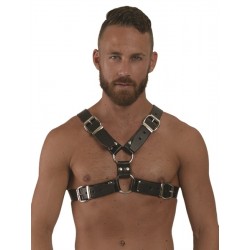 Mister B Y front Harness leather pelle