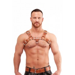 Mister B Leather Chest Harness Saddle Leather Brown harness per torace in pelle marrone